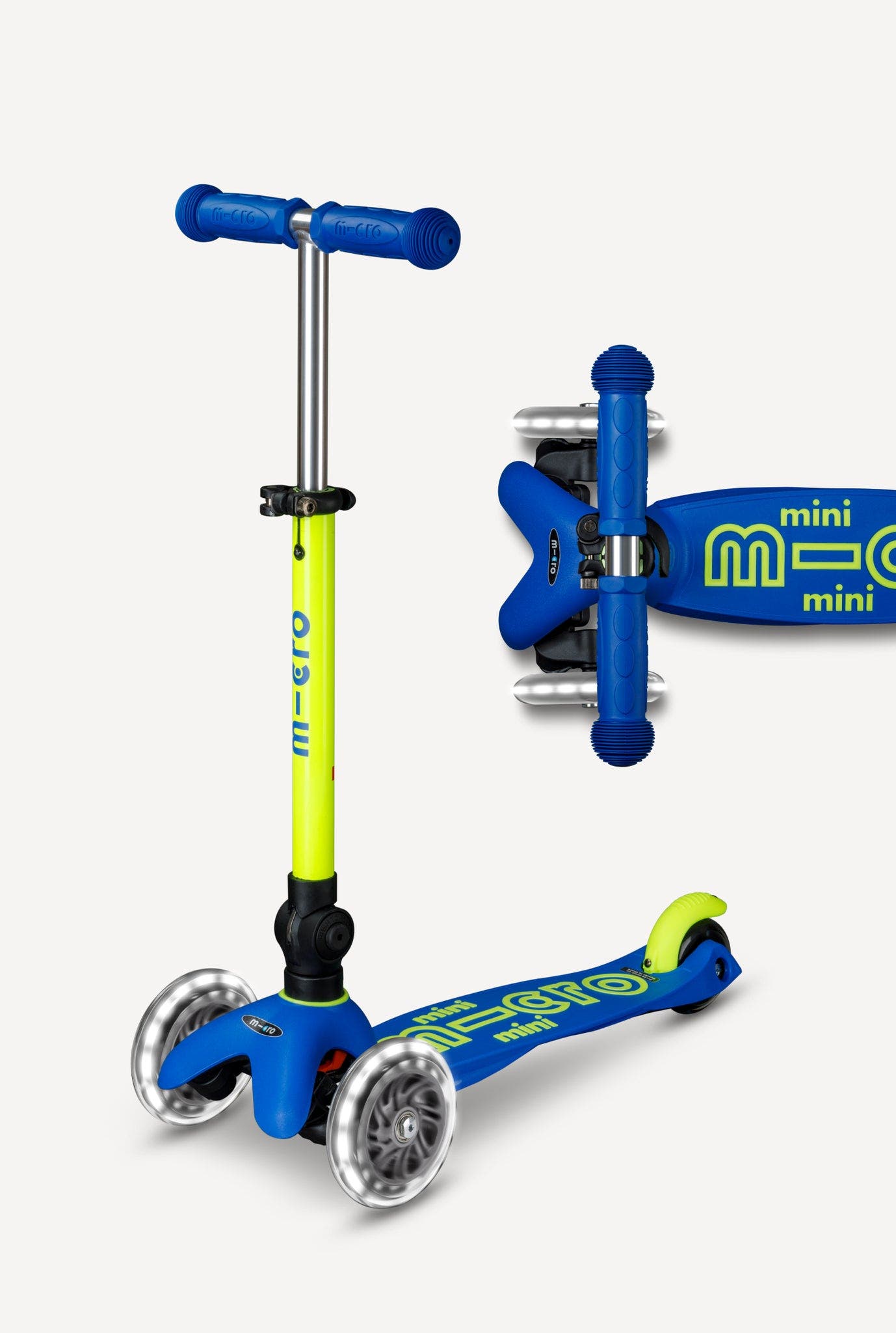Canary Yellow/Blue