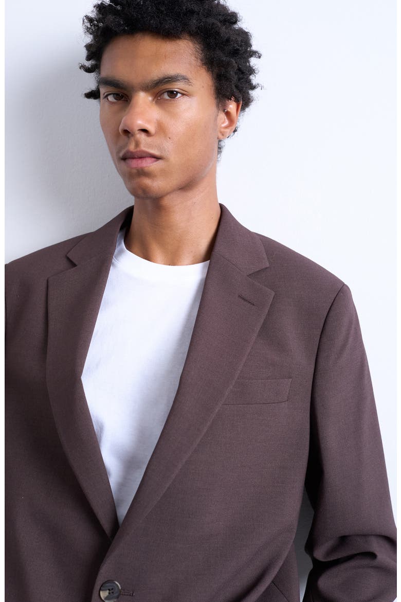 Relaxed Sport Coat, Alternate, color, BROWN
