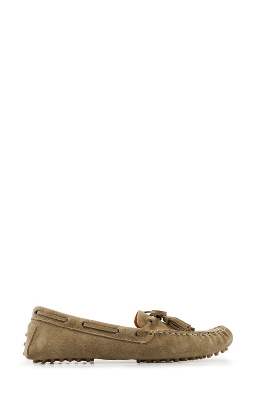 National Comfort Shyanne Suede Loafer In Taupe Suede