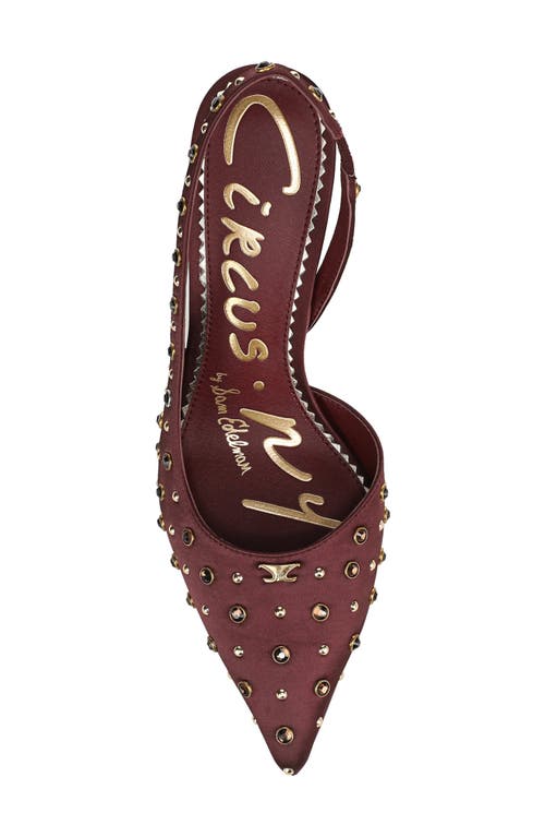 Circus Ny By Sam Edelman Tallie Pointed Toe Slingback Pump In Burgundy