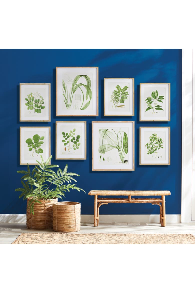 Tree Leaf Study, Set Of 6, Alternate, color, Green