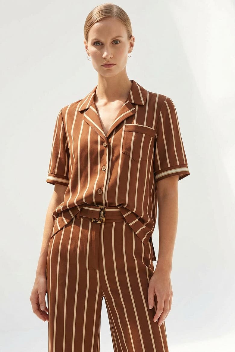 Striped Short Sleeve Shirt, Alternate, color, HAZELNUT-BEIGE