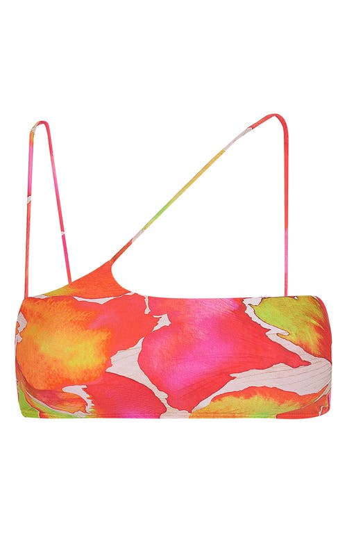 Vix Paula Hermanny Gal Nara Bikini Top In Multi