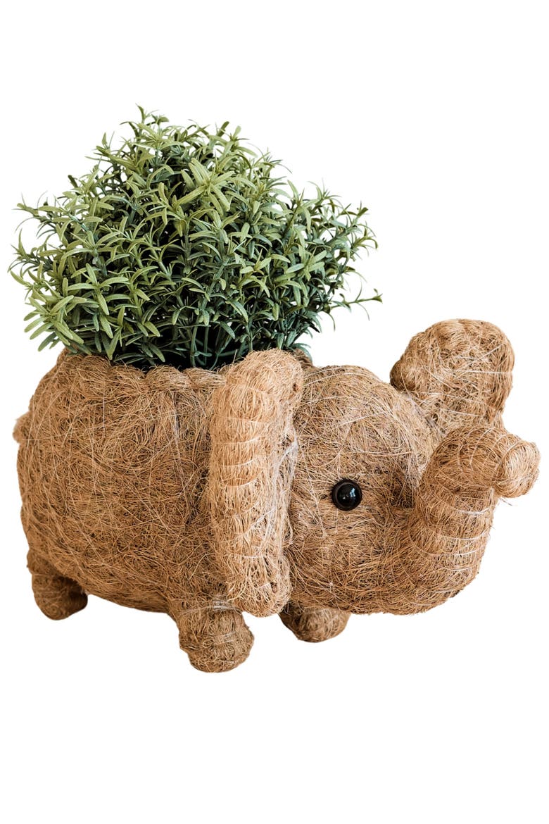 Safari Animal Coco Coir Planters, Main, color, Brown