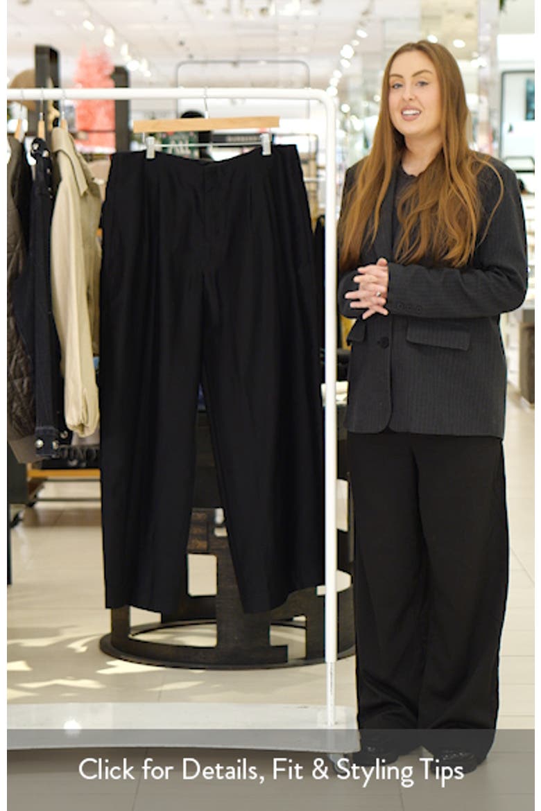 Pierre Pleated Wool Blend Wide Leg Pants video