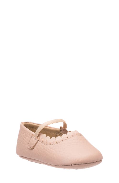 Elephantito Ava Ballet Flat in Pink 