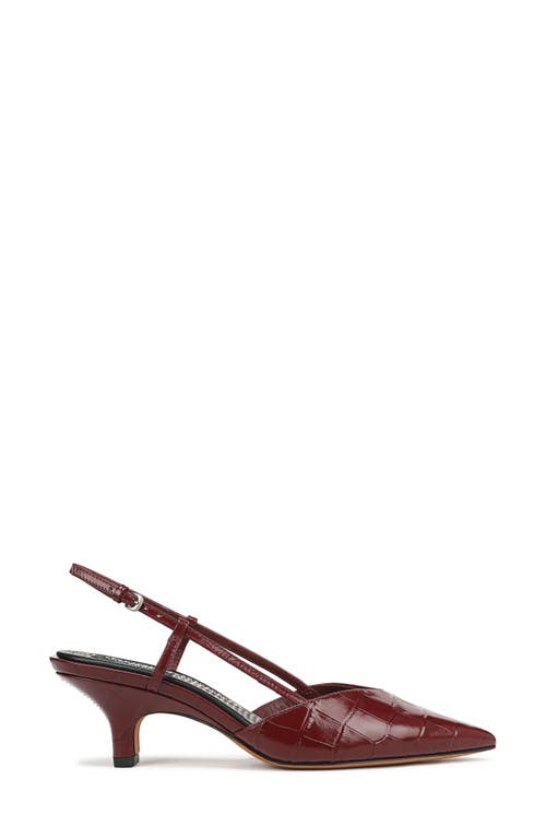 Vince Levvy Slingback Pointed Toe Kitten Heel Pump In Brown