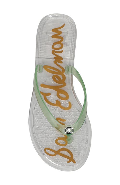 Sam Edelman Dean Jelly Flip Flop Clear Green Jelly