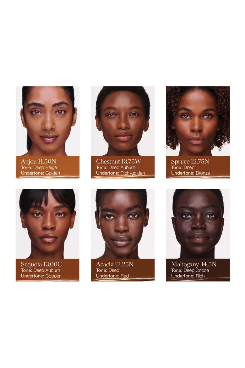 Complexion Perfecting Serum Foundation, Alternate, color, ANJOU