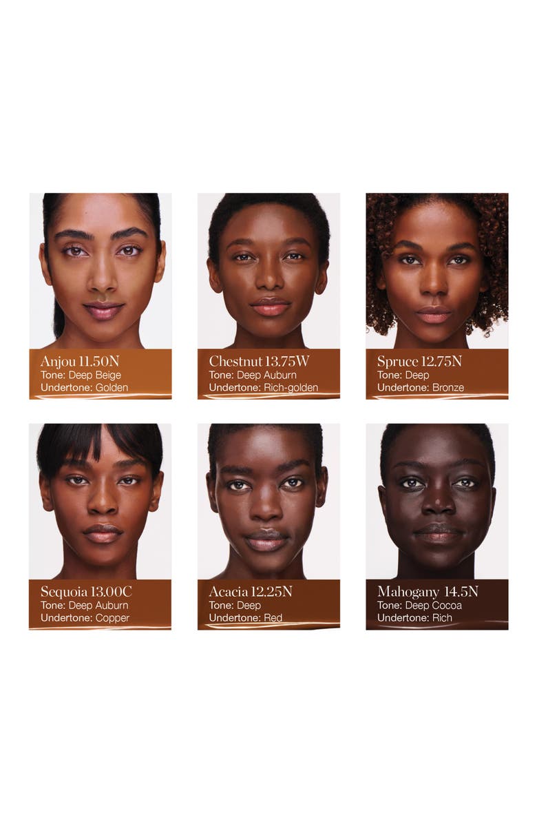 OGEE Complexion Perfecting Serum Foundation, Alternate, color, Acacia