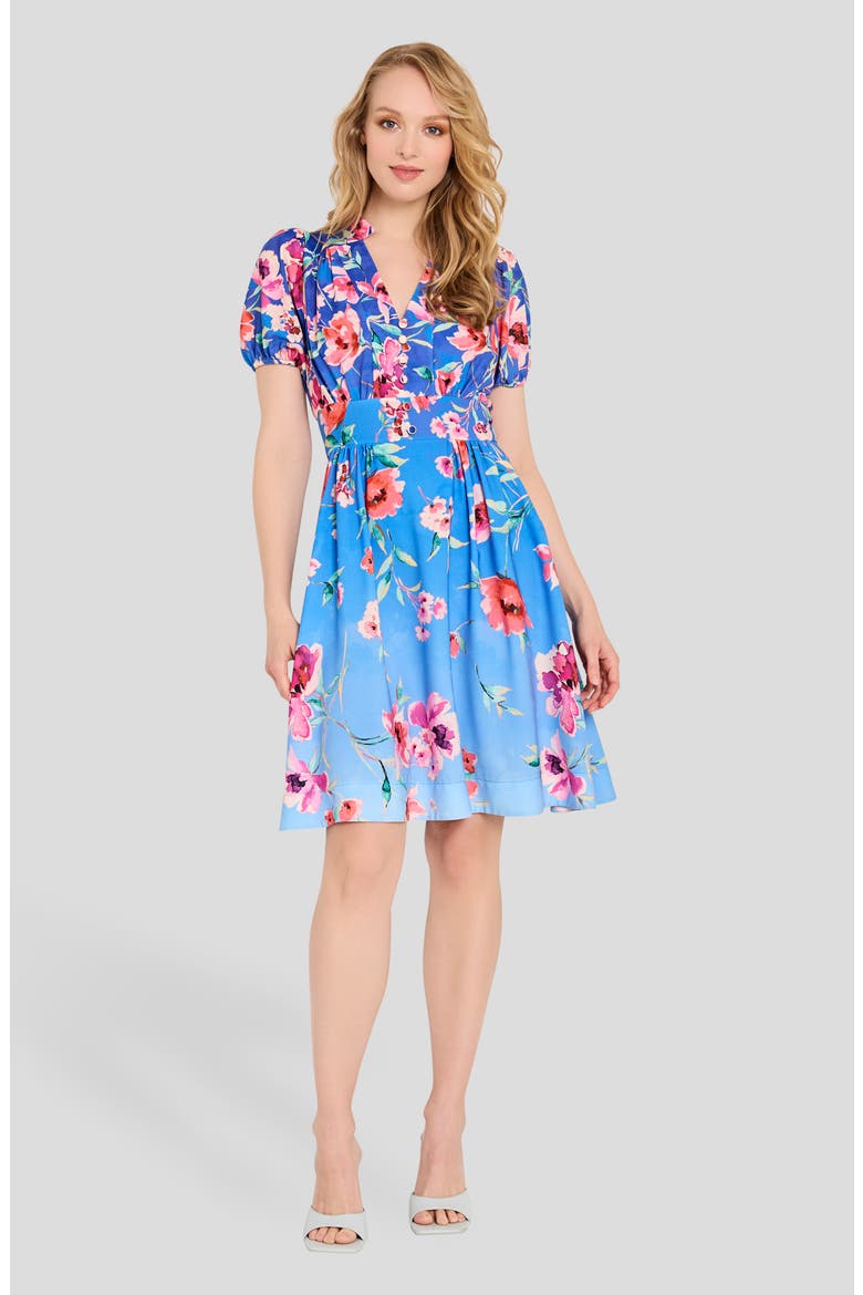 Floral Fit & Flare Dress, Alternate, color, PERI FLORAL