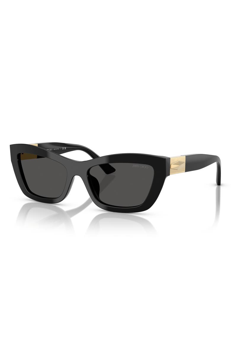 Jimmy Choo 54mm Cat Eye Sunglasses, Alternate, color, Black