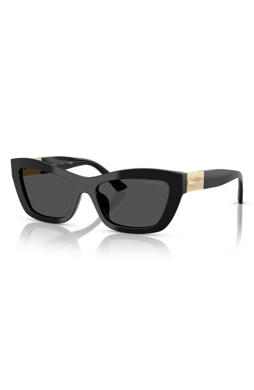 Jimmy Choo 54mm Cat Eye Sunglasses In Black