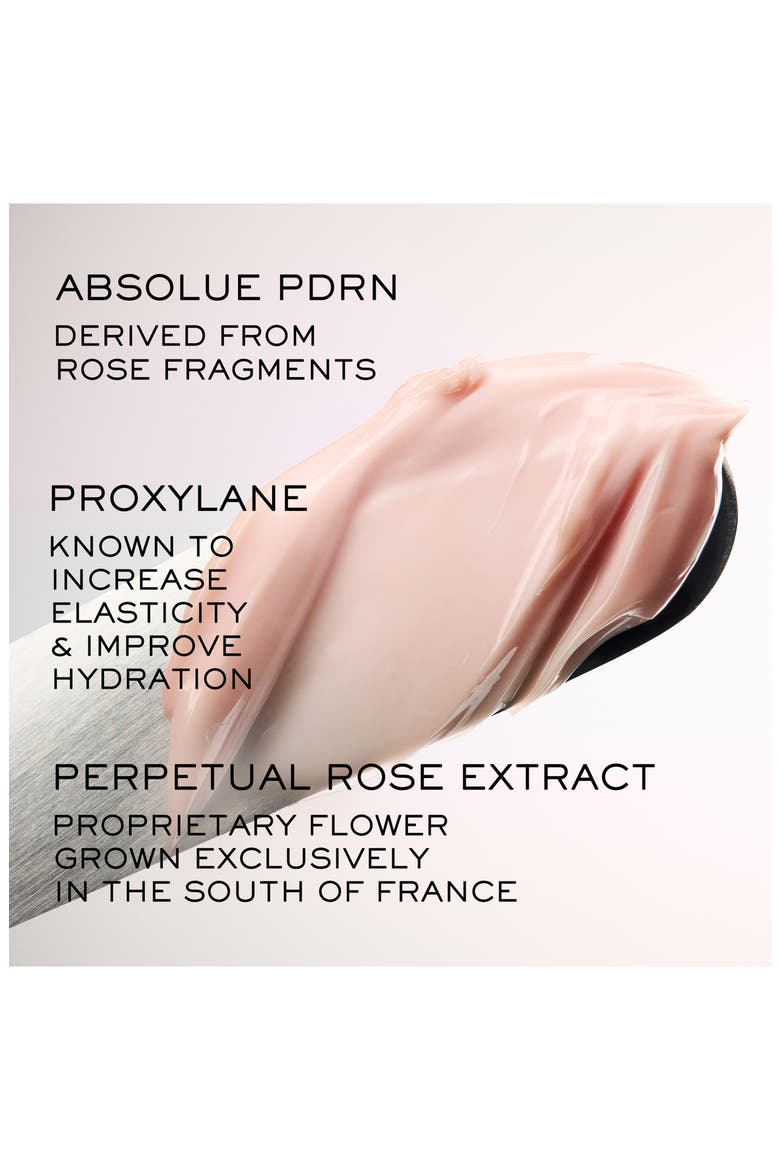 Absolue Soft Cream Anti-Aging & Firming Face Moisturizer Refill, Alternate, color, NO COLOR