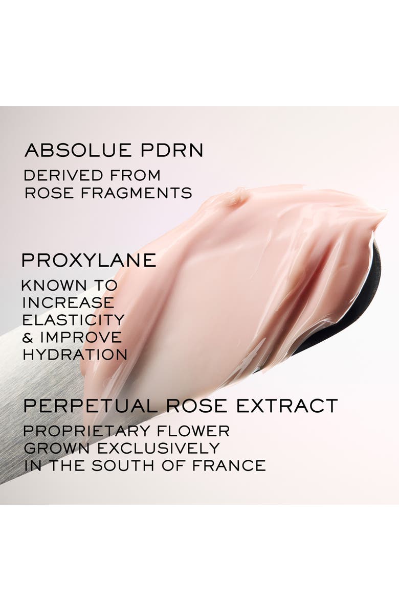 Lancôme Absolue Soft Cream Anti-Aging & Firming Face Moisturizer Refill, Alternate, color, 