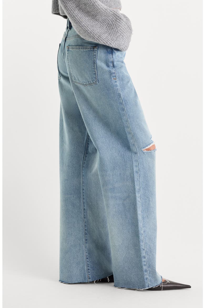 Low Slung Ripped Wide Leg Baggy Jeans, Alternate, color, TERRA