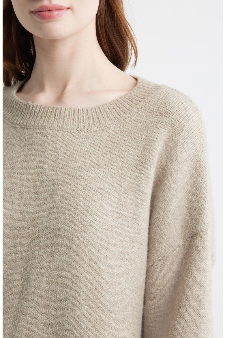 Ryanna Crewneck Sweater, Alternate, color, BEIGE