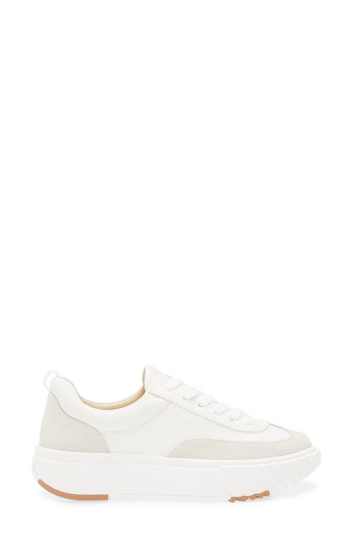 4ccccees Ray Reta Sneaker In Neutral