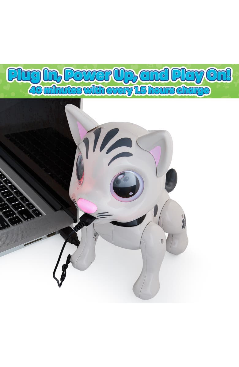 Power Your Fun Robo Pets Education Robot Cat Toy, Alternate, color, Grey