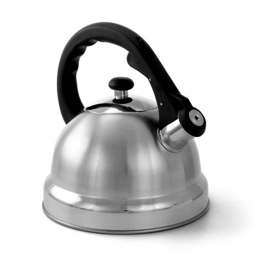 Mr Coffee Claale 2.2 Quart Brushed Stainless Steel Whistling Tea Kettle With Nylon Handle In Silver