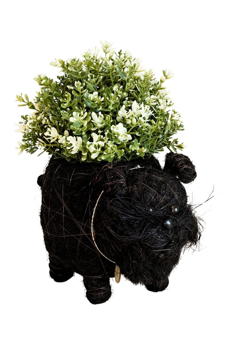 Schnauzer Handwoven Planter, Main, color, BLACK