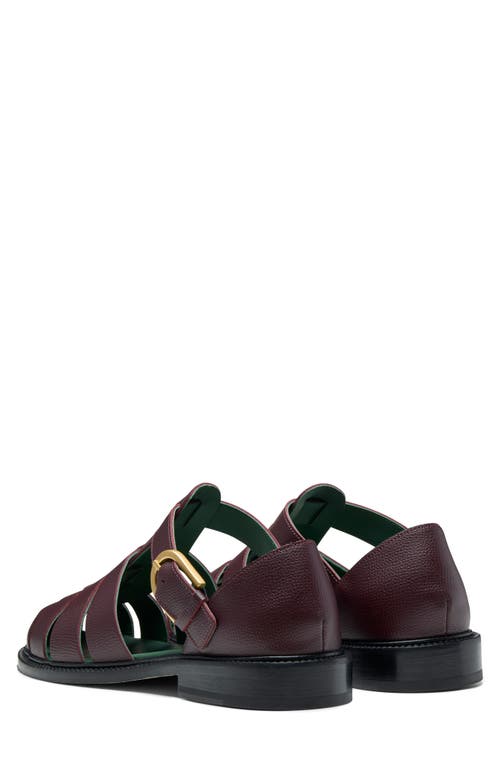 Vinny's Fisherman Sandal