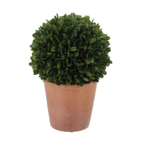 12" Artificial Boxwood Plant in Round Pot