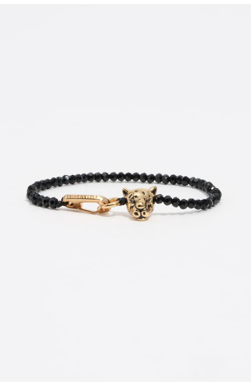 Bimba Y Lola Crystals Panther Bracelet In Black