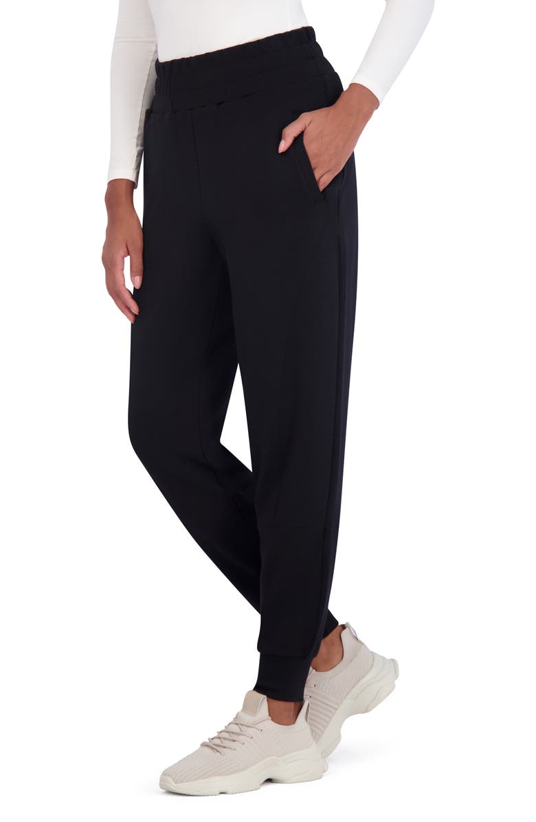 SAGE COLLECTIVE High Waist Joggers, Alternate, color,