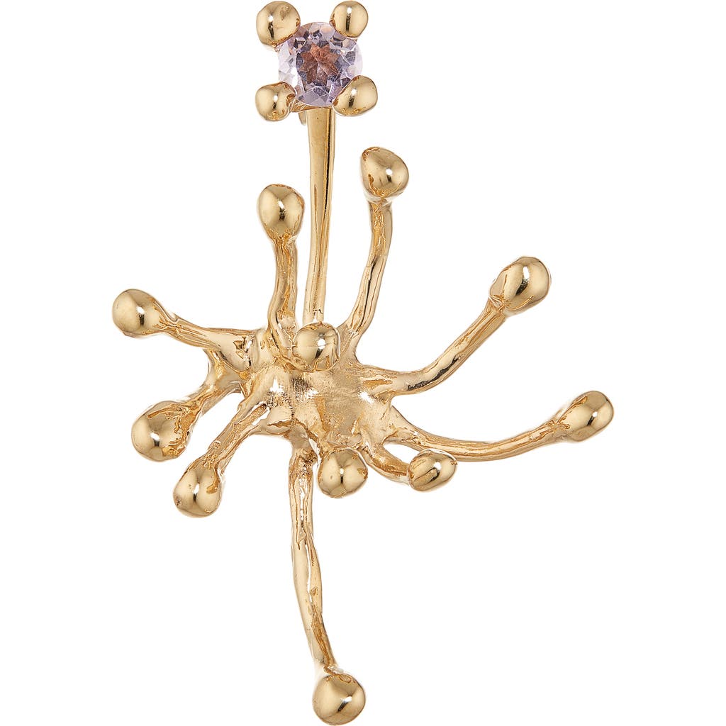 Faris Spora Amethyst Drop Earring In Gold