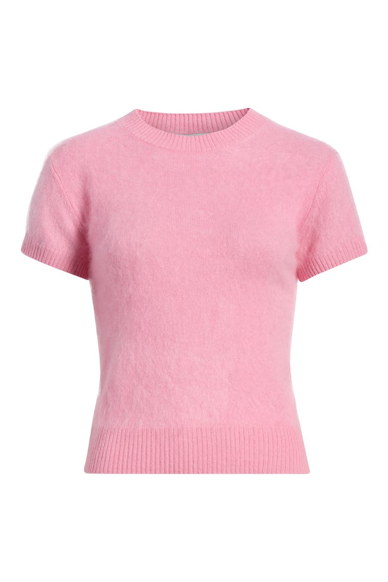 Darcy Brushed Cashmere Short Sleeve Sweater, Main, color, BRUSHED TAFFY