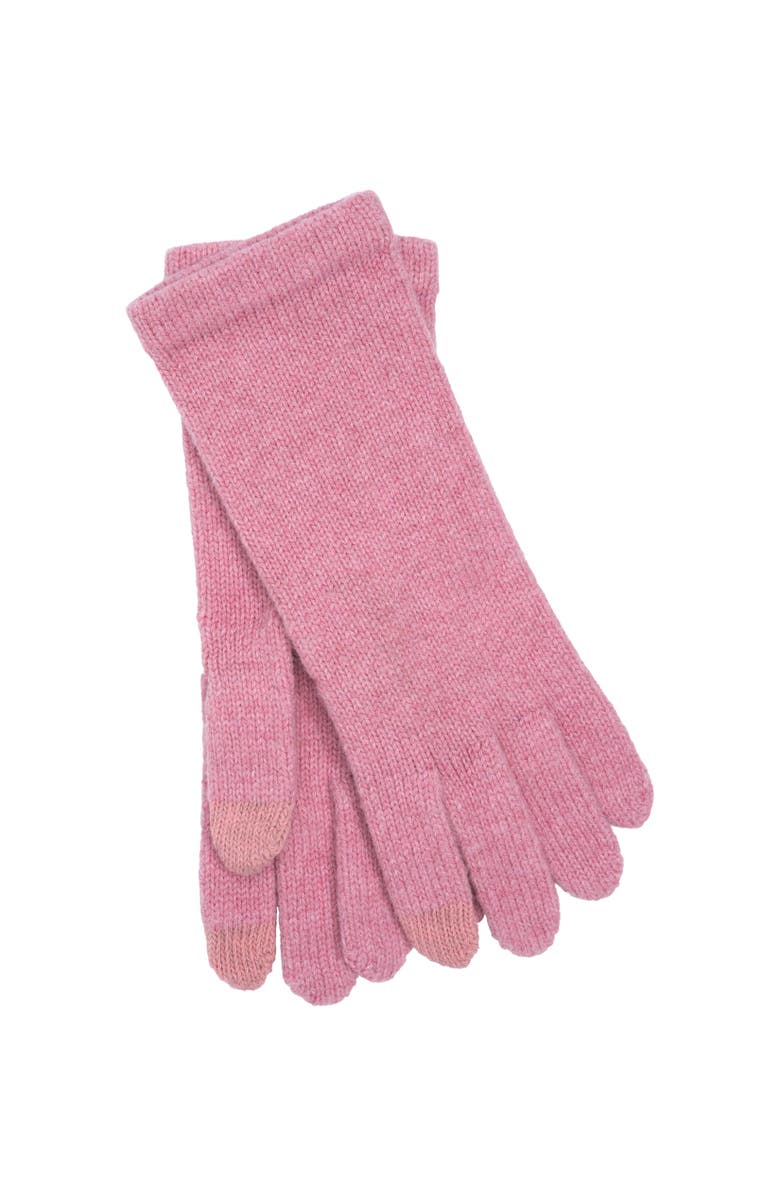 Echo Touch Glove, Main, color, Dusty Rose