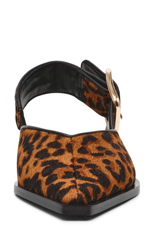 Steve Madden Shay Genuine Calf Hair Pointed Toe Slingback Flat In Leopard