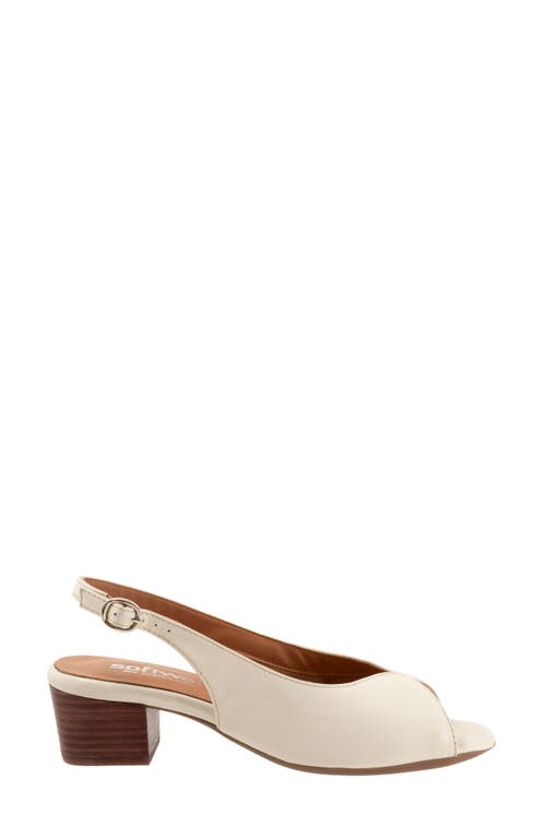 Softwalk ® Lakewood Slingback Sandal In Ivory