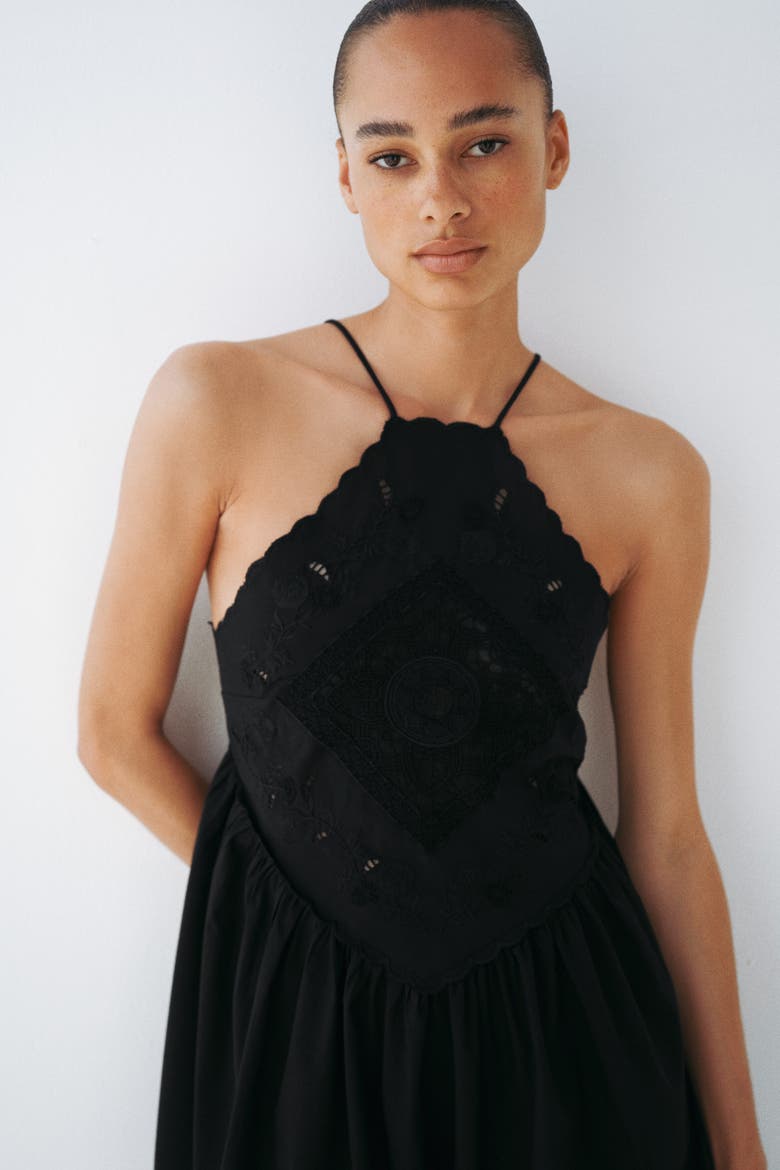 Flared-skirt Dress With Eyelet Embroidery, Alternate, color, Black