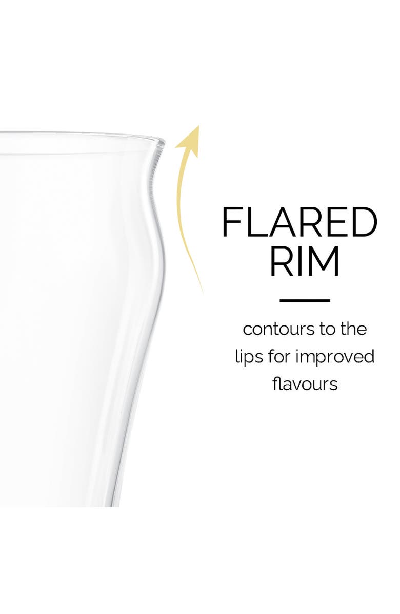 FINAL TOUCH Brewhouse Beer Glass - Set of 4 - 17 oz, Alternate, color, Clear