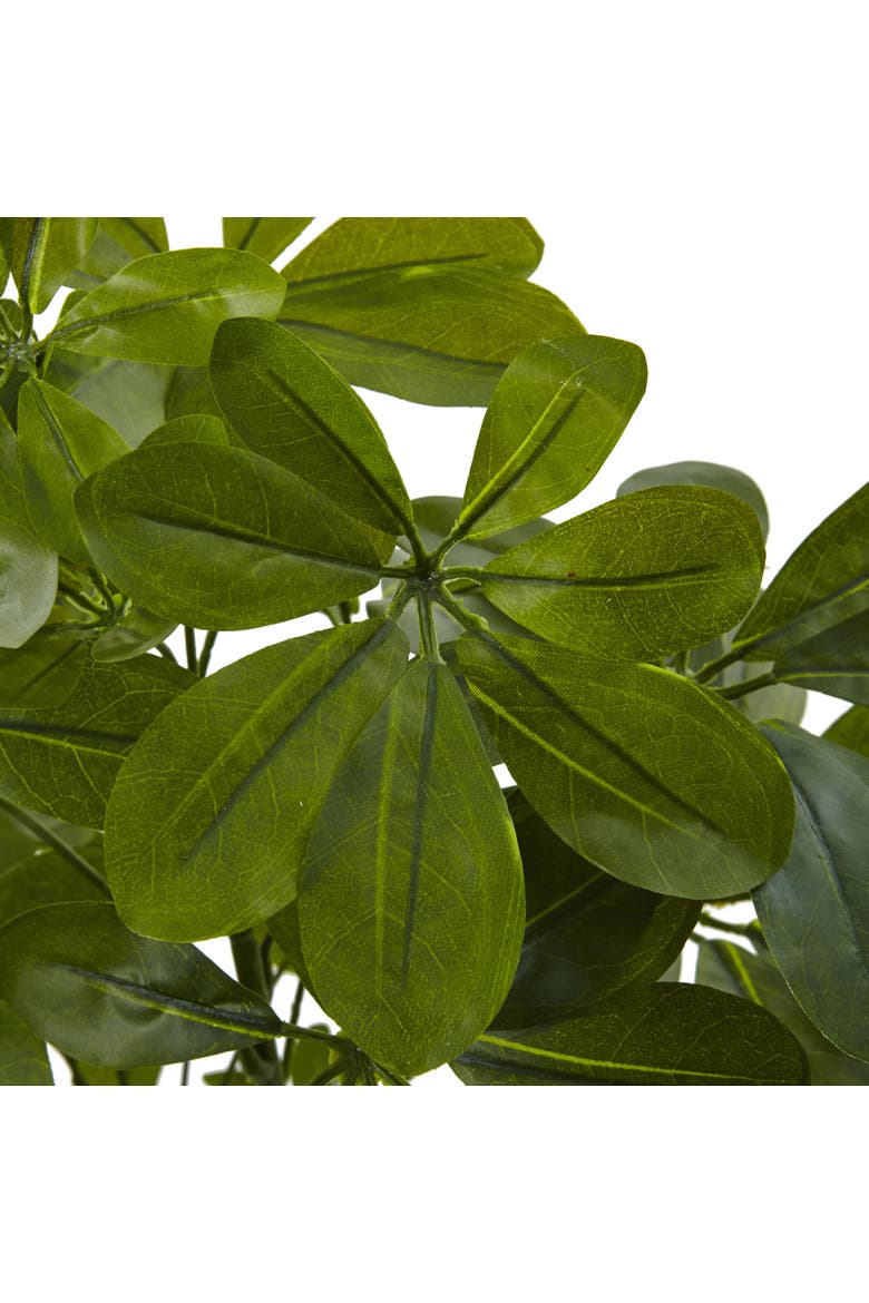 32-ft-ft Green Baby Schefflera Artificial Plant, Alternate, color, Green