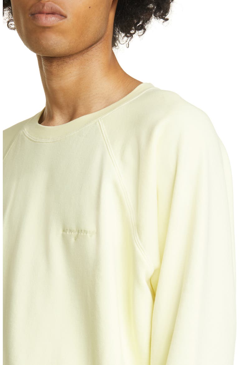 Lightweight Crewneck Raglan Sweatshirt, Alternate, color, PALE YELLOW