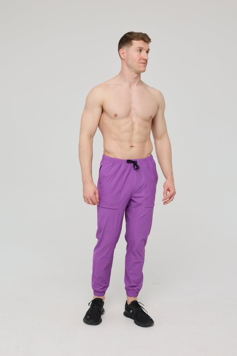 Elite Everyday Activewear Joggers - Purple, Alternate, color, Purple