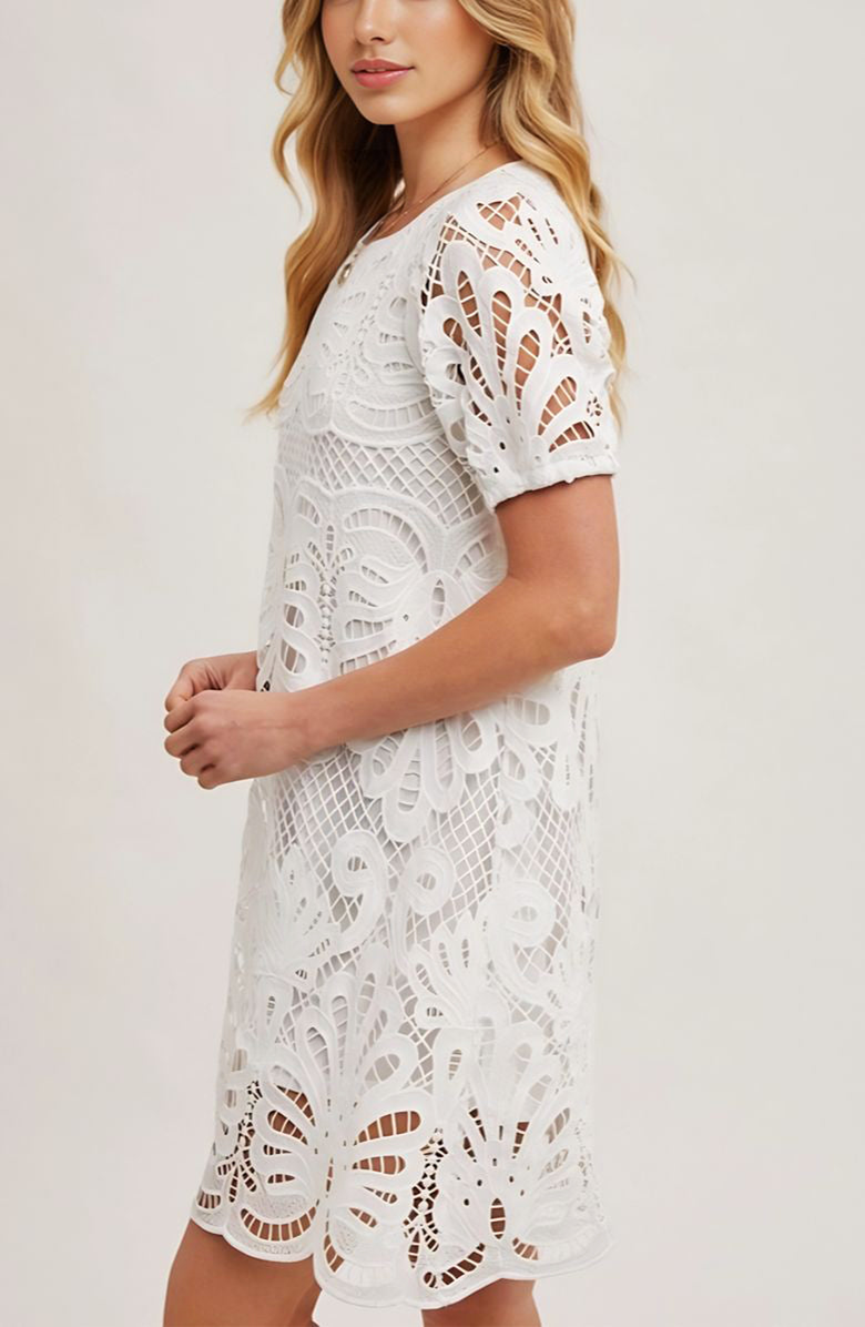 Knit and Lounge Lace Overlay Puff Sleeve Mini Dress, Alternate, color,