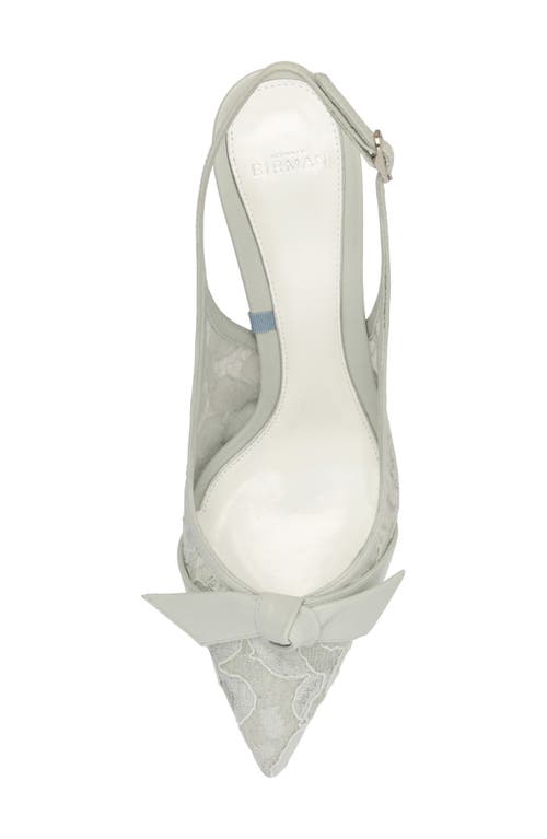 Alexandre Birman Clarita Classic Pointed Toe Slingback Pump In White