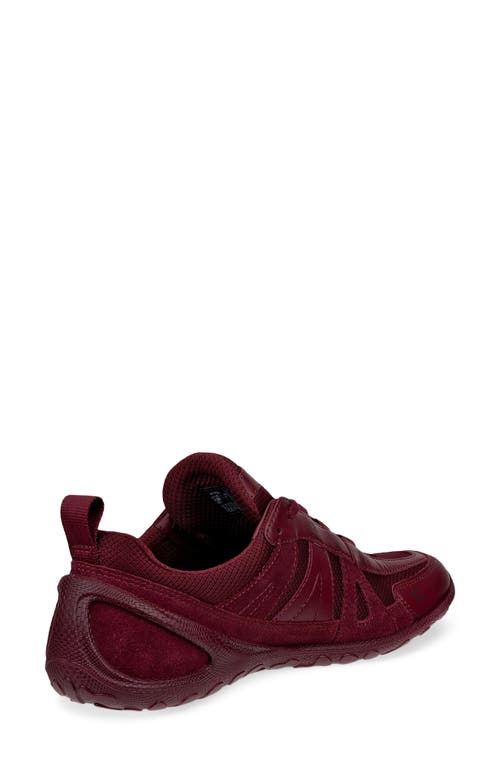 Ecco Biom Lite Sneaker In Animal Print