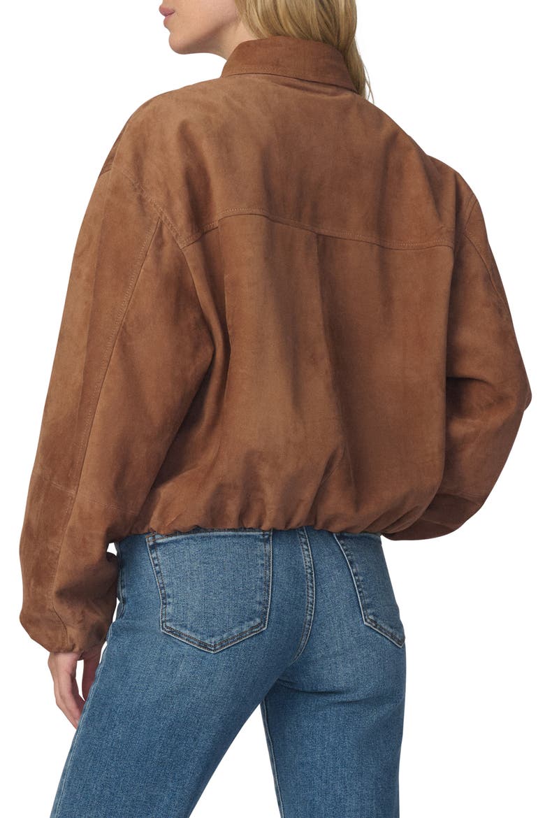 Bella Suede Bomber Jacket, Alternate, color, NUTMEG