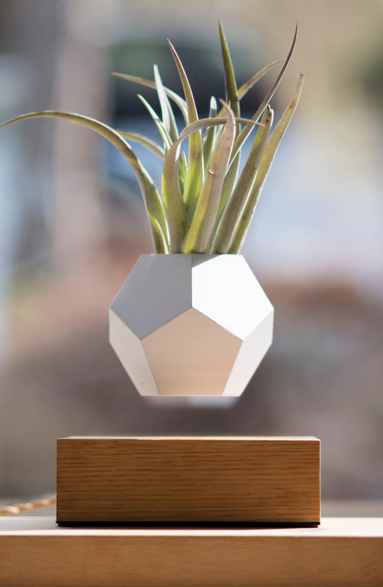 FLYTE Lyfe Levitating Planter, Alternate, color, 