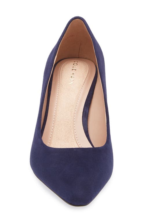 Cole Haan The Go-to Janey Pointed Toe Pump In Blue