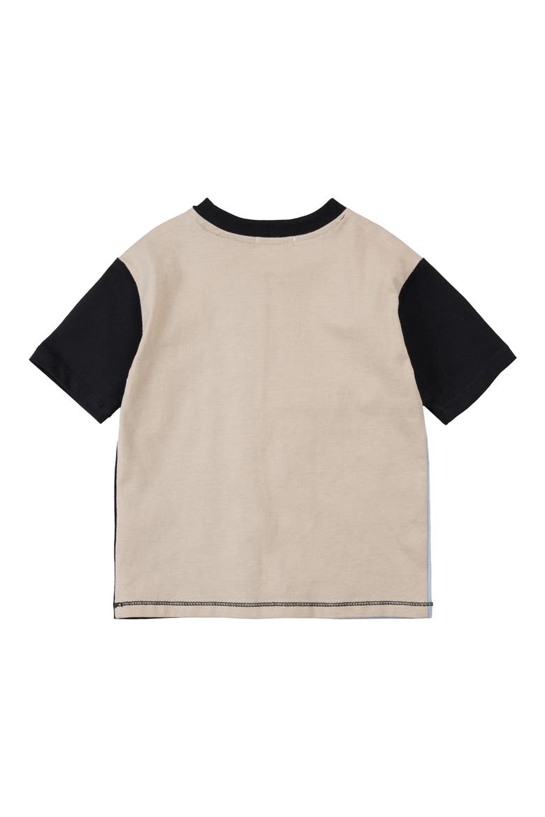 Kids' Colorblock Cotton T-Shirt, Alternate, color, BLACK