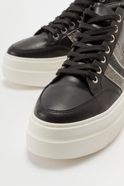 Prologue Shoes Lessino Sneakers In Black