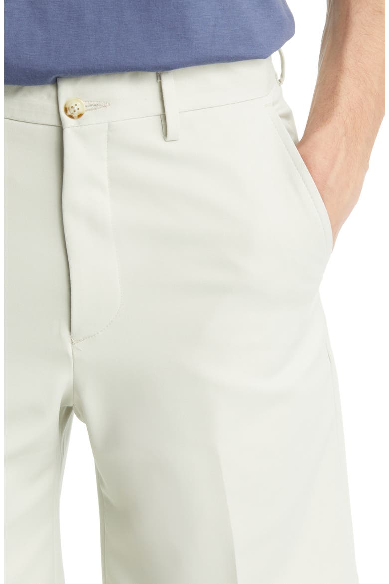 Flat Front Shorts, Alternate, color, STONE