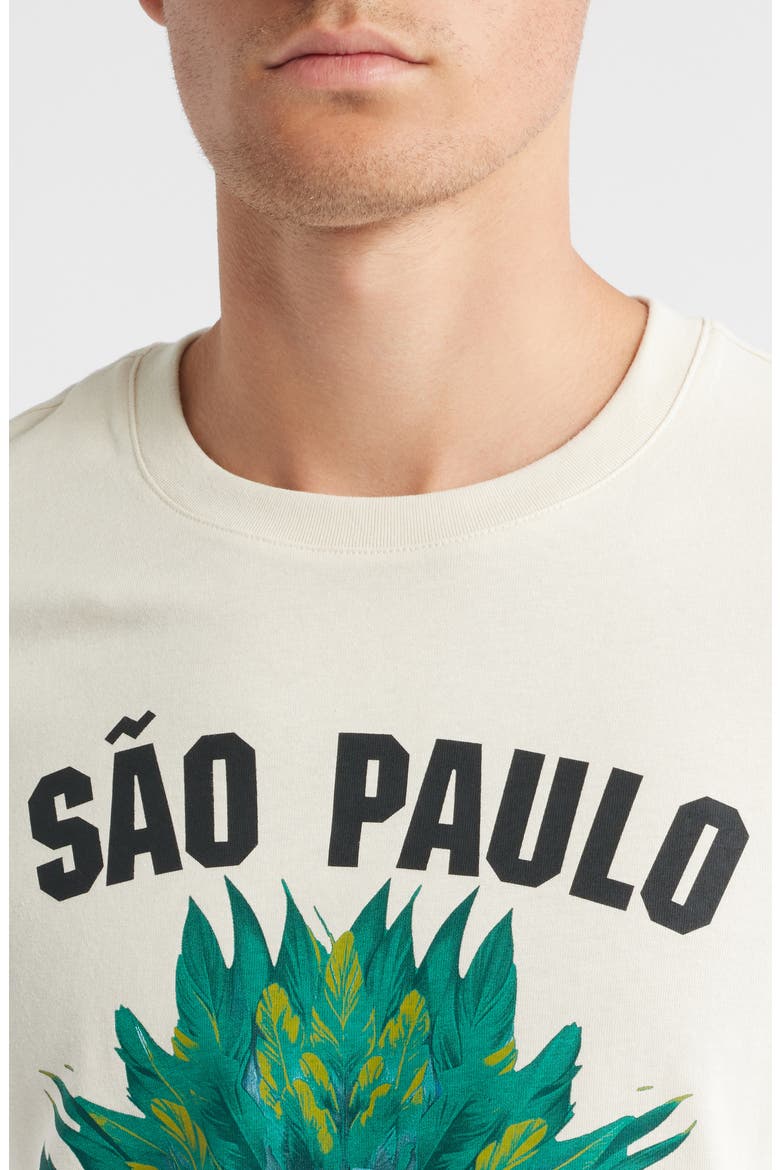 F1 Brazil Cotton Graphic T-Shirt, Alternate, color, ALPINE SNOW
