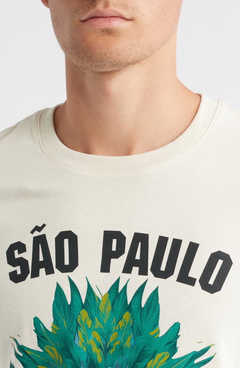 PUMA F1 Brazil Cotton Graphic T-Shirt, Alternate, color, Alpine Snow